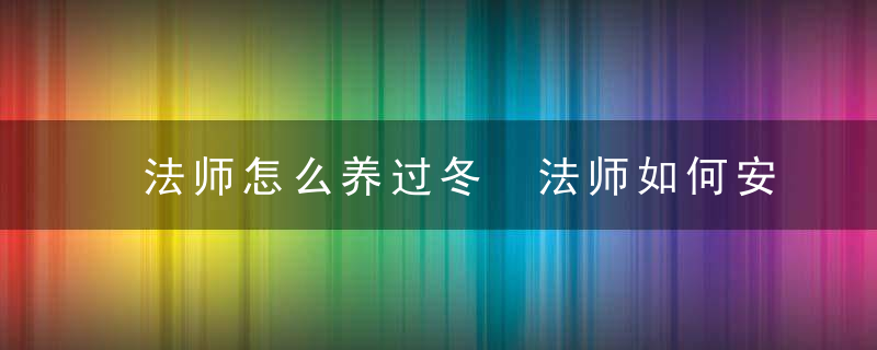 法师怎么养过冬 法师如何安全养过冬呢